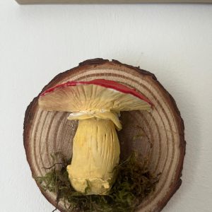 Champignon a accrocher