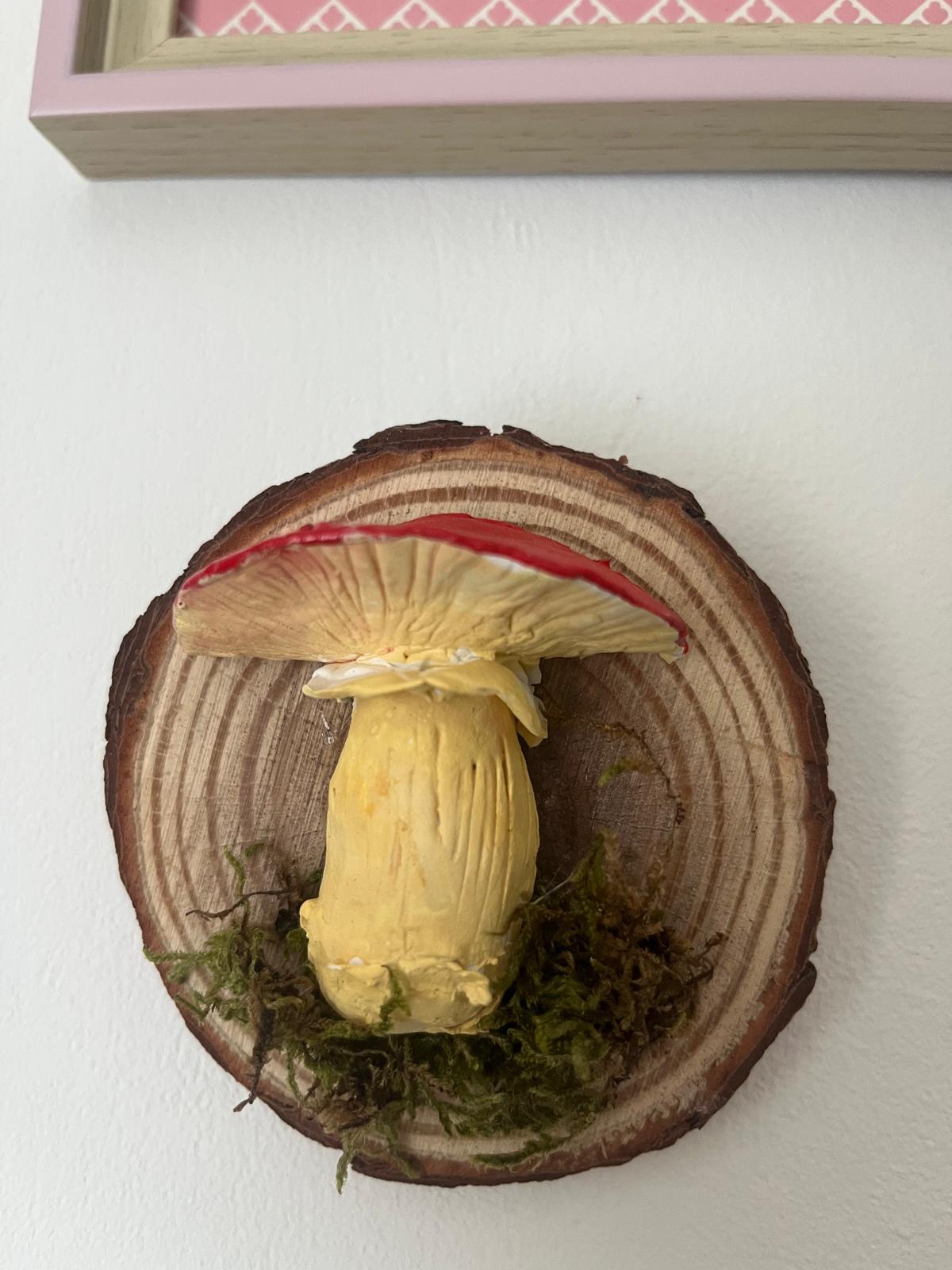 Champignon a accrocher