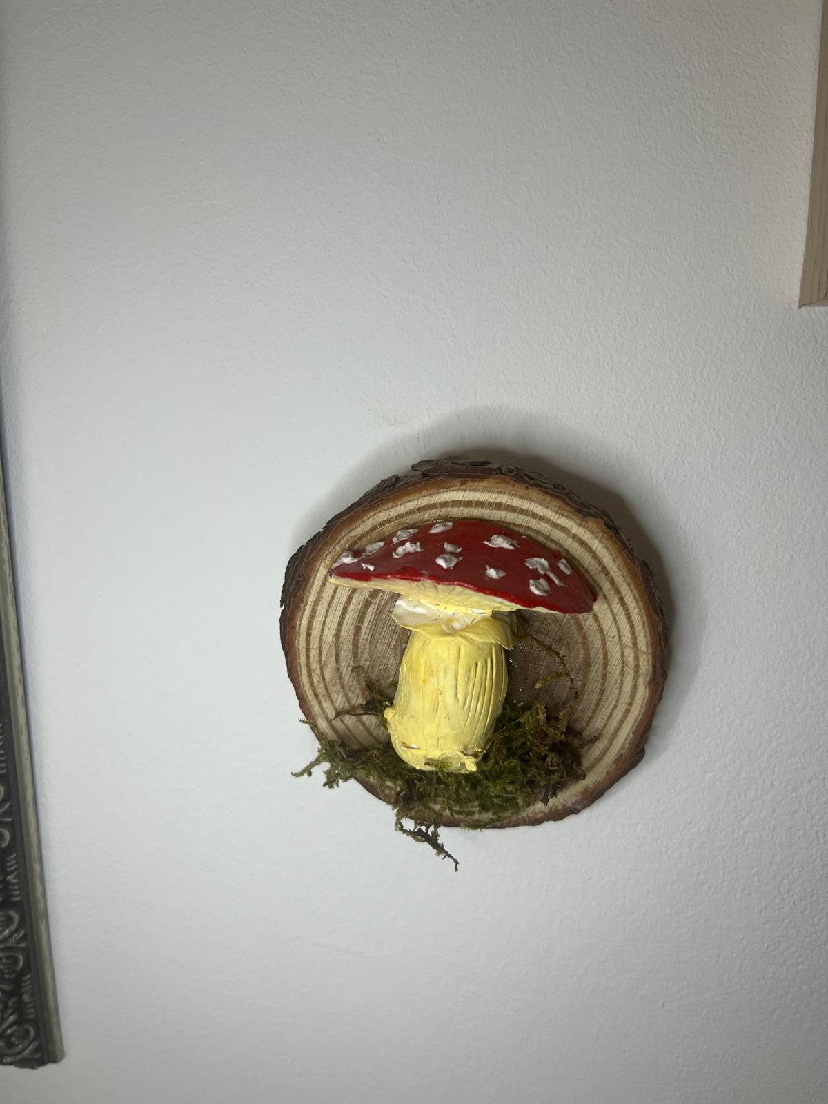 Champignon a accrocher – Image 2