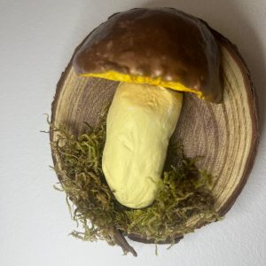 Champignon Bolet a accrocher