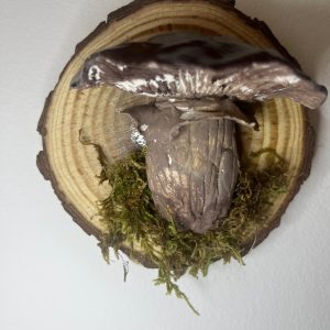 Champignon des bois a accrocher